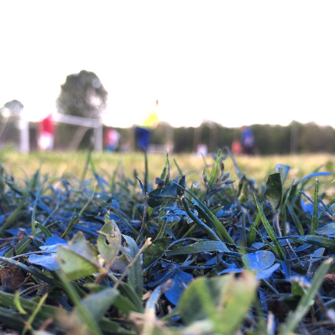 soccerdad
