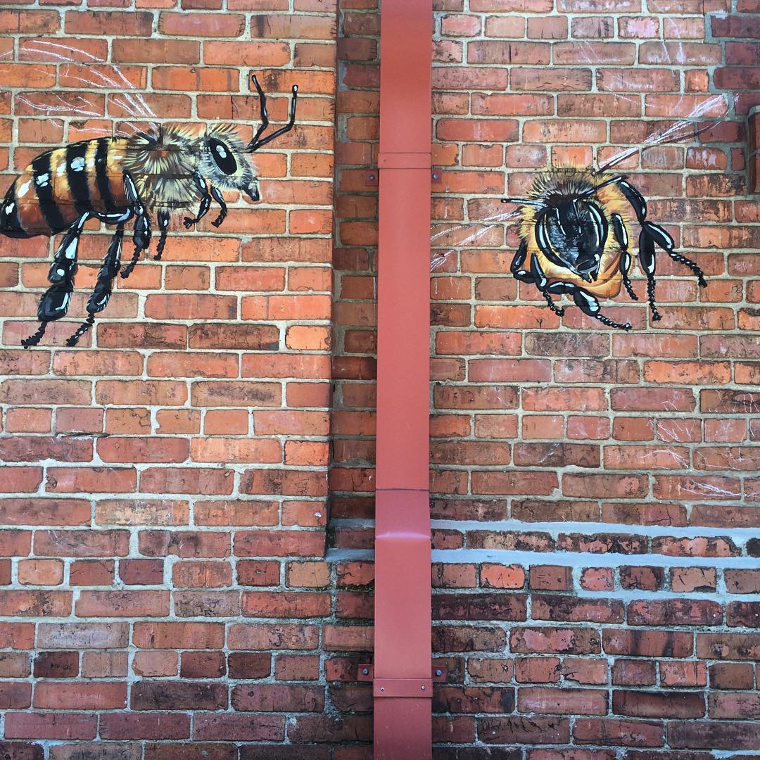 The latest buzz.