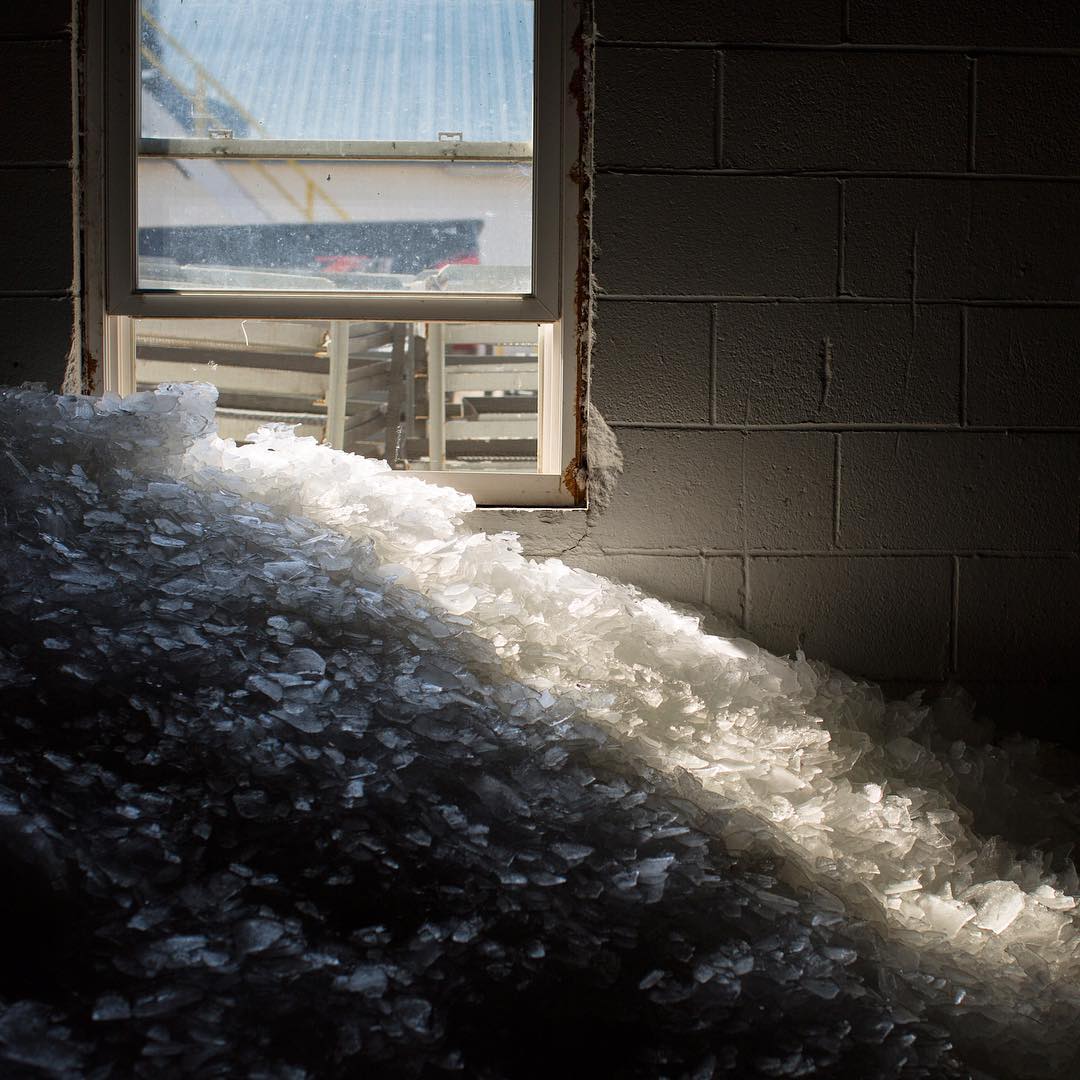 A huge thanks to @aintbadmagazine for featuring my work, “A Mess of Feesh” on their site, yesterday