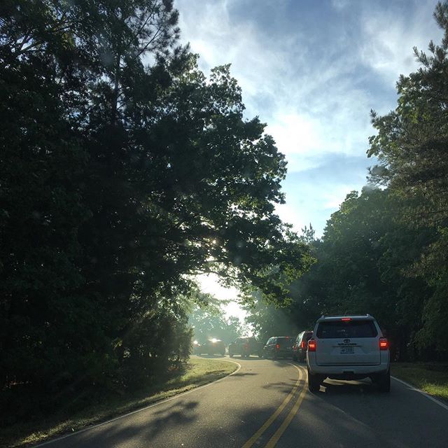 sunshine.carline