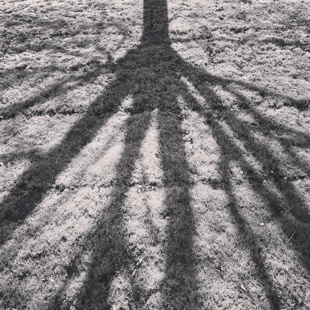 January 30, 2019 (1:08 pm)