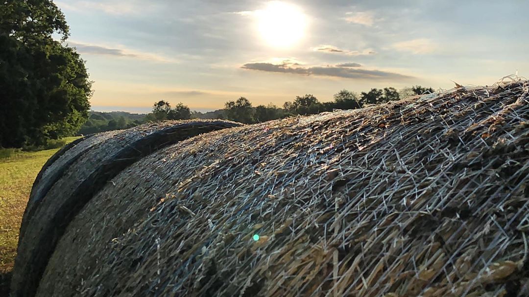 May 25, 2019 (7:12 am)