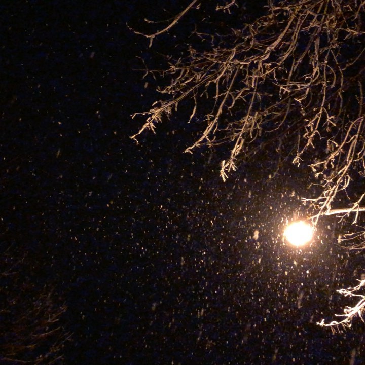 February 20, 2020 (9:10 pm)
